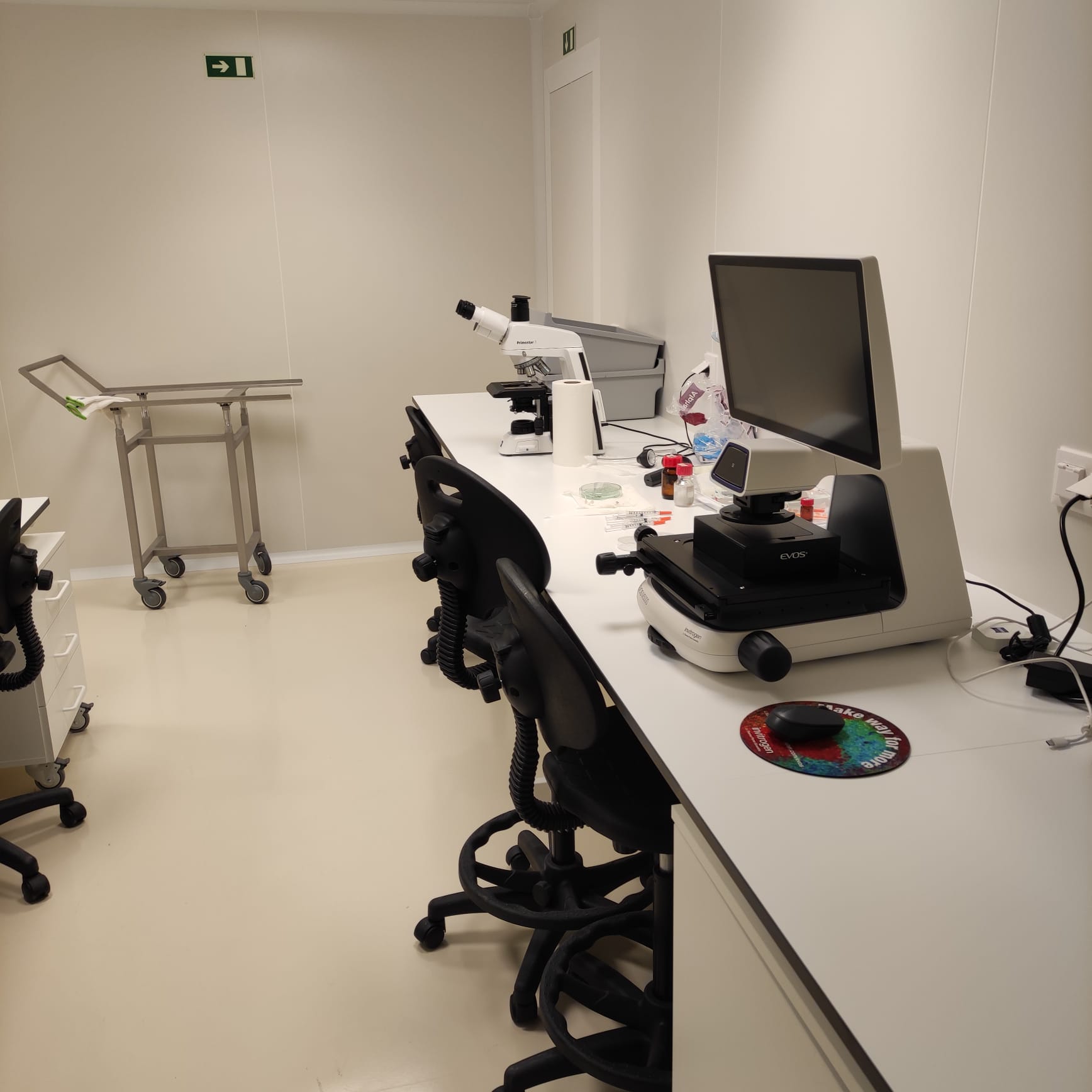 Laboratory Image 2