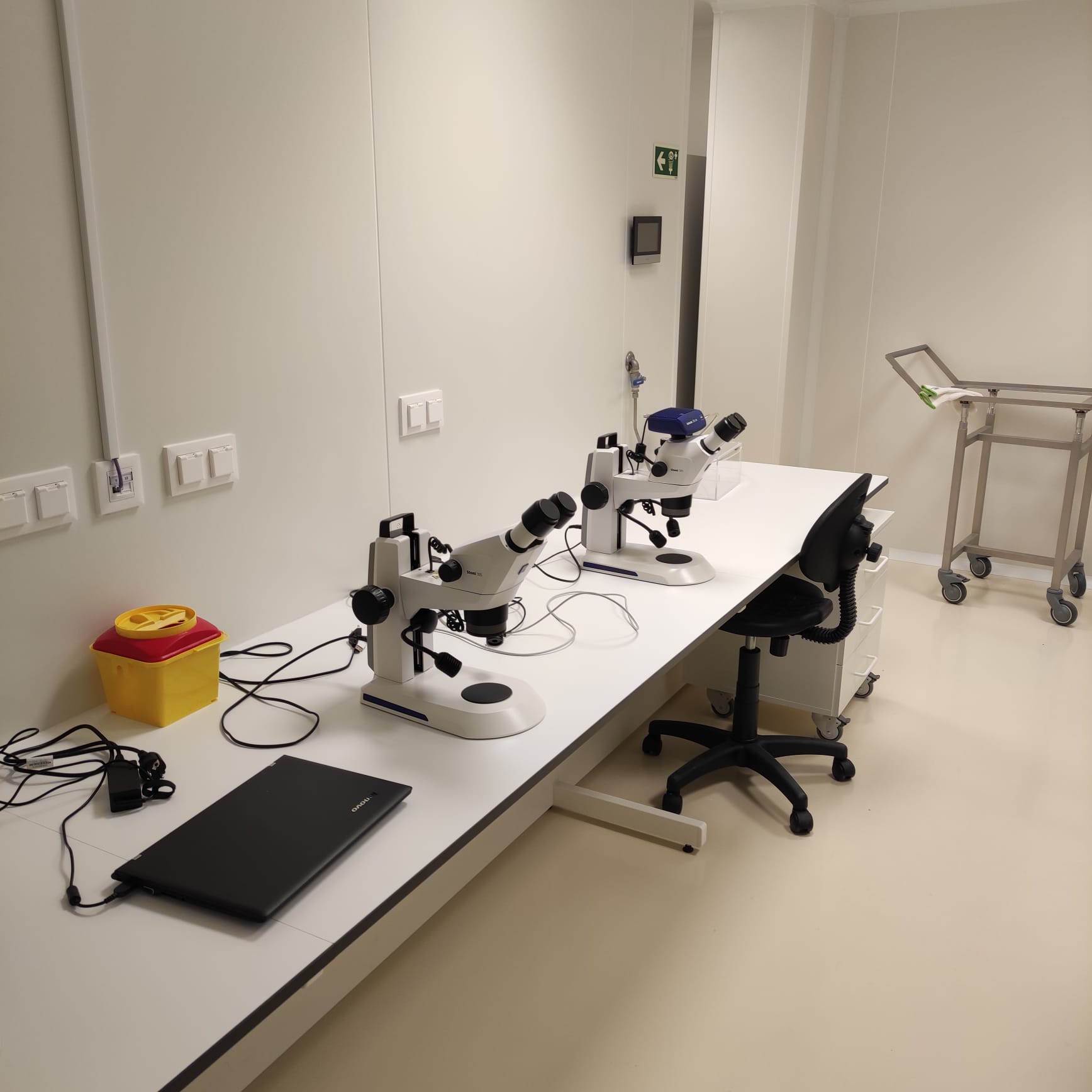 Laboratory Image 3
